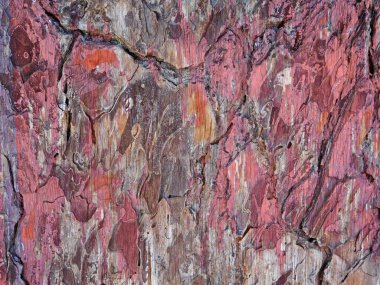 Arka plan için bahçedeki ahşap dokular