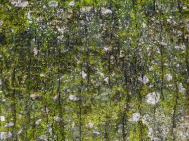 Arkaplan için taş dokusunun yakın plan görüntüsü