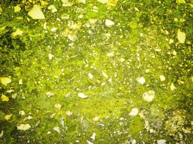 Arkaplan için sarı renkli taş dokunun yakın plan çekimi