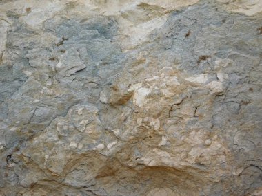 Bahçedeki mermer dokular 