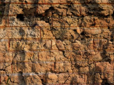 Taş dokusu bahçede