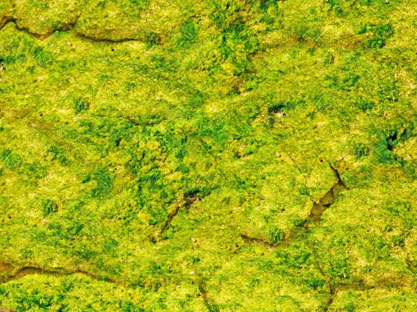 Green Stones dokusu, soyut arkaplan