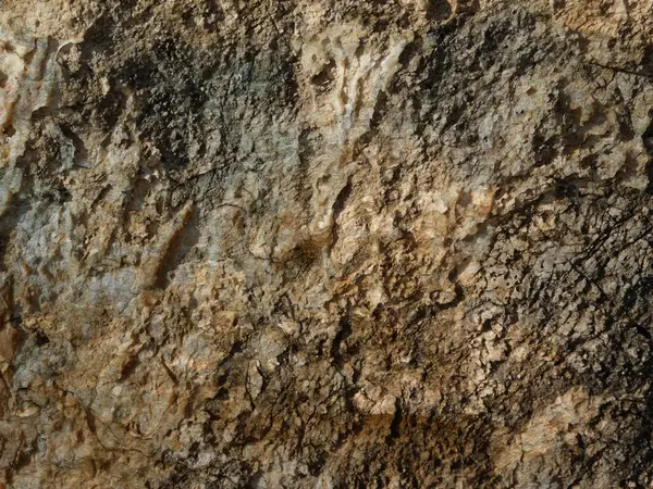 Bahçedeki mermer dokular