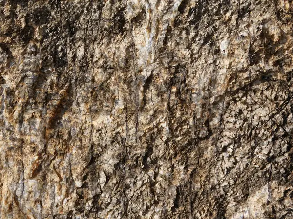 Arka plan için Bahçedeki Taş Doku 