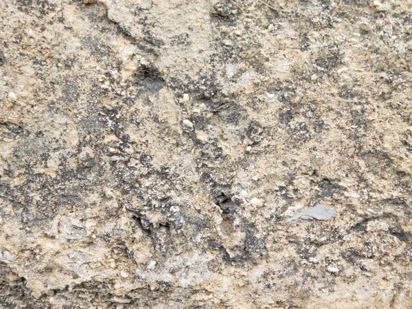 Arka plan için Bahçedeki Taş Doku 