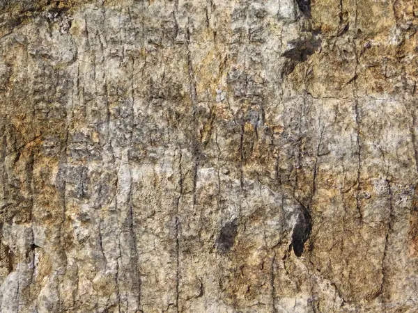 Bahçede taş dokusu, yakın görüş.