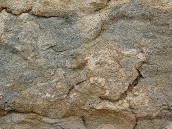 Bahçedeki mermer dokuyu kapat.