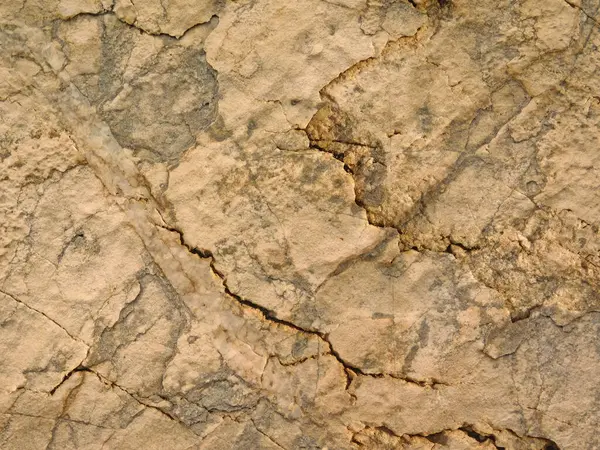 Bahçedeki mermer dokuyu kapat.