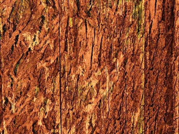 Koyu kahverengi ahşap doku arka planı için