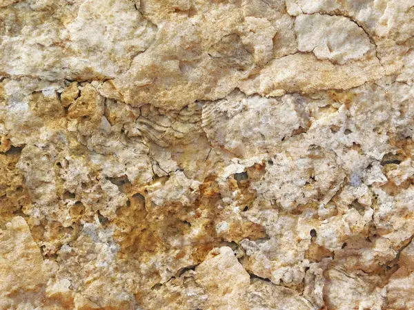 Arka plan için Bahçedeki Taş Doku 