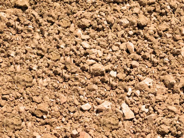 Bahçe manzarasında zemin dokusu