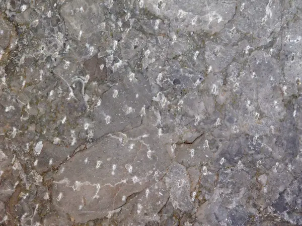 Bahçedeki mermer dokular