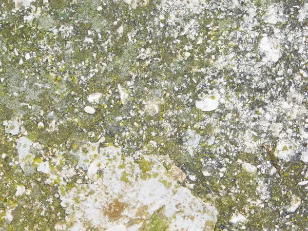 Arka plan için Bahçedeki Taş Doku 'nun yakın plan çekimi.