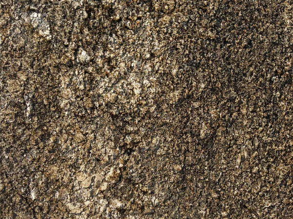close-up shot of Stone Texture In The Garden for background