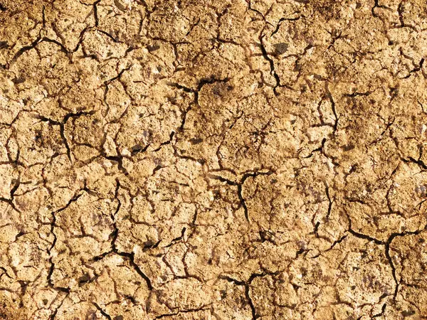 soil texture background, ground surface