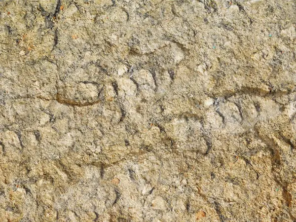 Eski taş duvarın çatlak dokusu