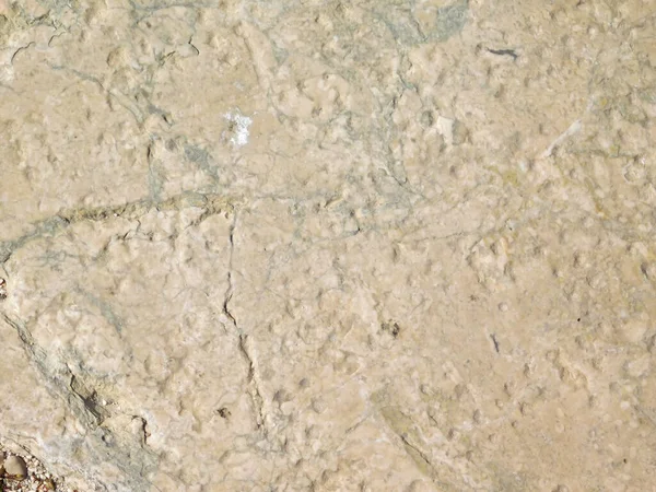 Arka plan için Bahçedeki Taş Doku    