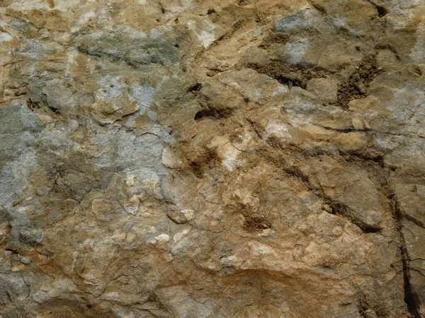 Bahçedeki mermer dokular