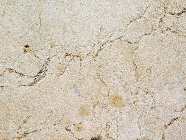 Bahçedeki mermer dokular