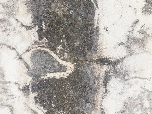 Arkaplan için taş dokusunun yakın plan görüntüsü