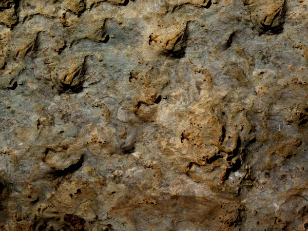 Bahçedeki mermer dokular