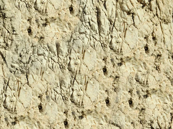 Arkaplan için taş dokusunun yakın plan görüntüsü