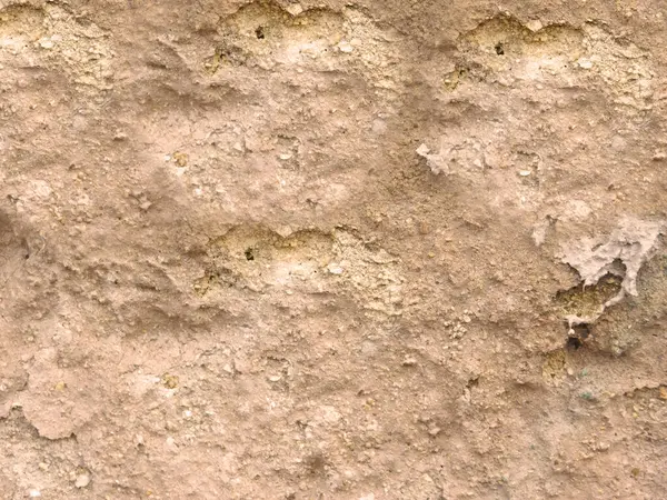 Arka plan için Bahçedeki Taş Doku    