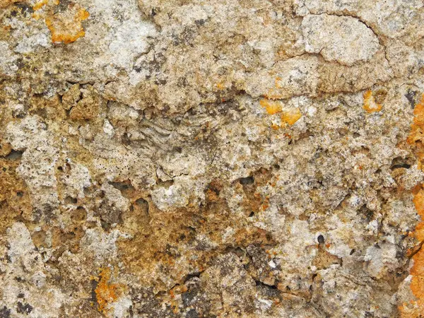 Bahçede taş dokusu, yakın görüş.