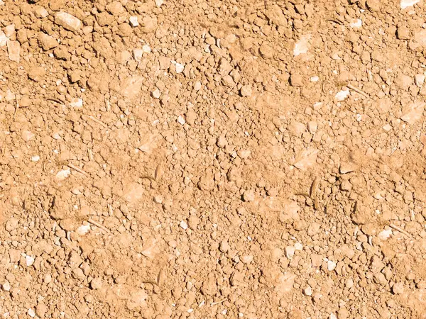 Bahçe manzarasında zemin dokusu