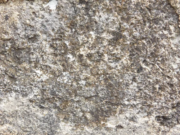 Stone texture outdoors in garden, close up view