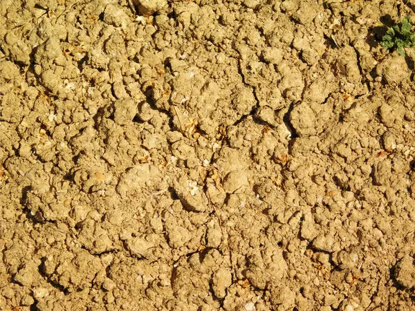 toprak dokusu arkaplanı, zemin yüzeyi