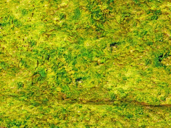 Green Stones dokusu, soyut arkaplan