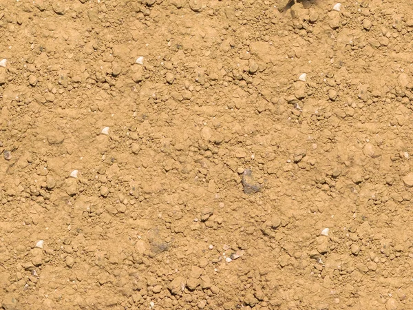 soil texture background, ground surface