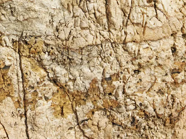 Bahçede açık havada Taş dokusu