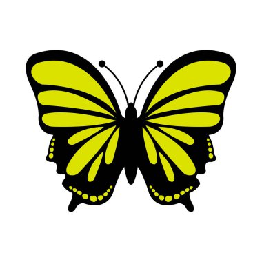 butterfly on white background vector illustration design
