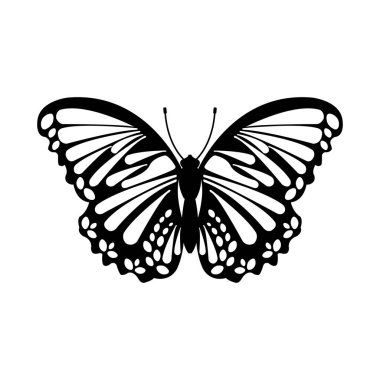 Kelebek beyaz arkaplanda izole