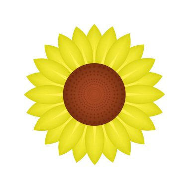 Ayçiçeği ikonu görüntüsü. vektör çizimi tasarımı