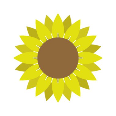 Ayçiçeği vektör simgesinin düz çizimi 