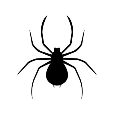 Beyaz arka plan üzerinde izole örümcek simgesi