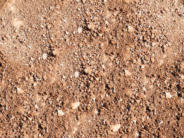 почва текстура фона, крупным планом 