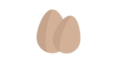 Beyaz arkaplanda yumurta simgesi izole 