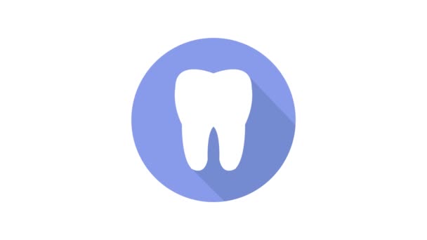 在白色背景上动画的牙齿圆形图标 — 图库视频影像