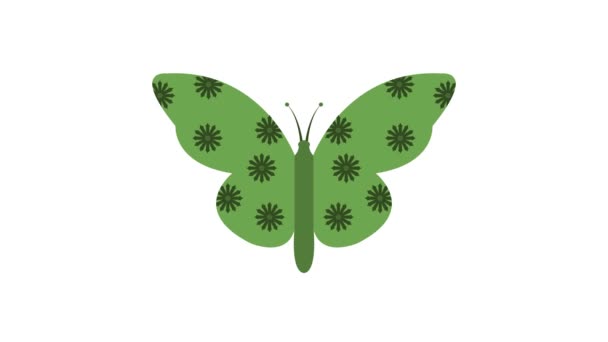 Icono Mariposa Aislado Sobre Fondo Blanco — Vídeo de stock