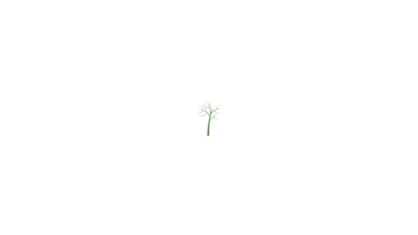 Ikona Zielonej Rośliny Izolowana Białym Tle — Wideo stockowe