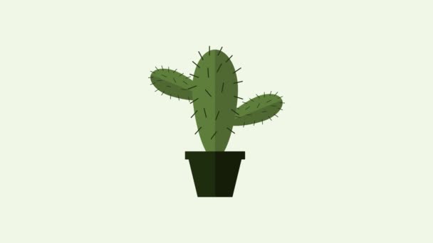 Wzór Ikony Kaktusa Białym Tle — Wideo stockowe