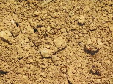 kahverengi toprak dokusu arka plan, doğal arkaplan 