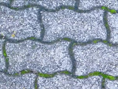 Taş kaldırım dokusunun görüntüleri