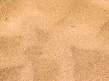 Deniz kum doku, doğal arka plan