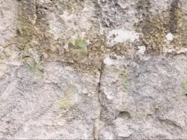 Taş yüzeyin yakın çekim görüntüleri