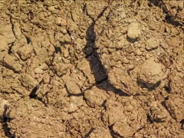 kahverengi toprak dokusu arka plan, doğal arkaplan 